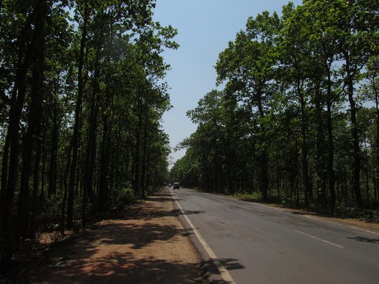 Bankura District Forest WB