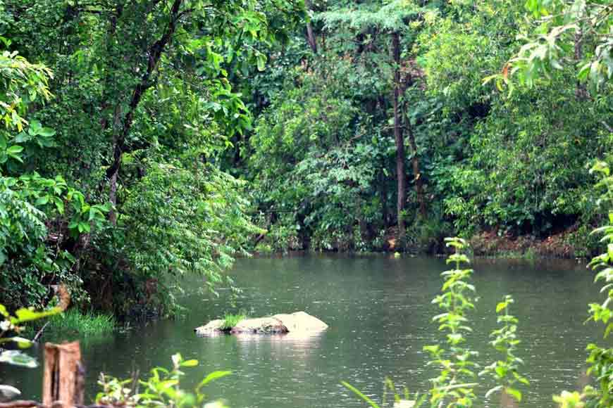 Bankura District Forest