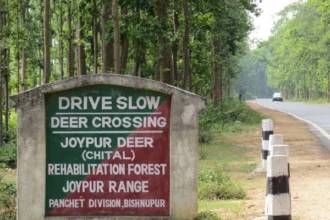 Bankura-Joypur-Forest