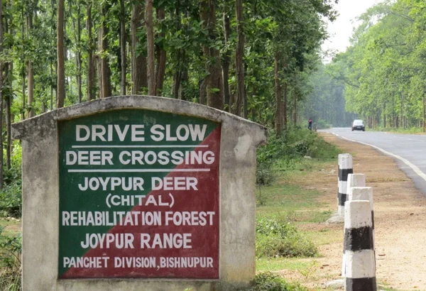 Bankura-Joypur-Forest