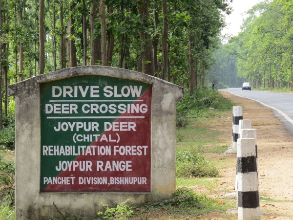 Bankura-Joypur-Forest