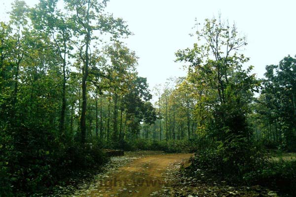 Joypur Forest Bankura Hotels India