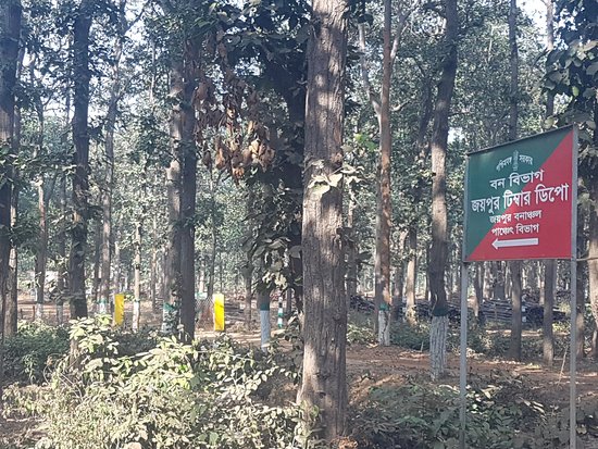 Joypur Forest Bankura WB